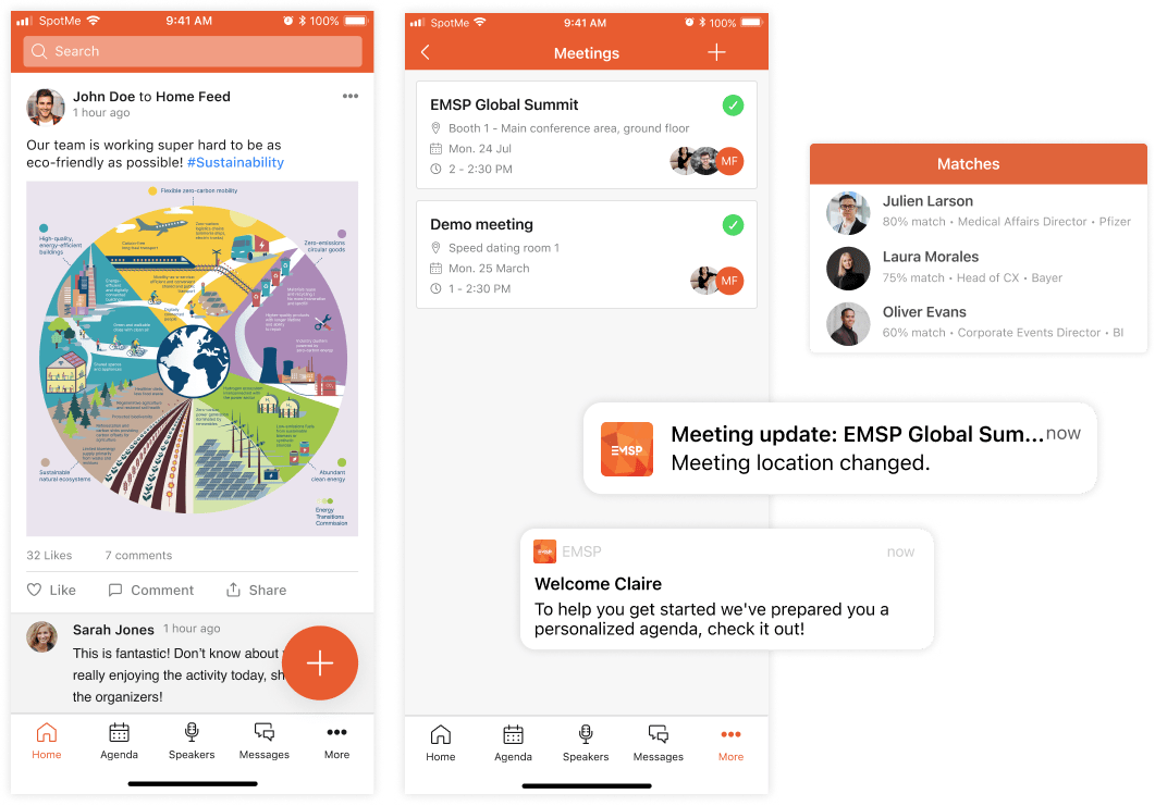 ssection 6 visual professional services page